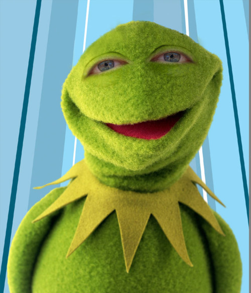 mwpe Kermit