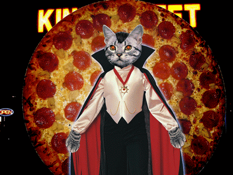 kitten dracula pizza