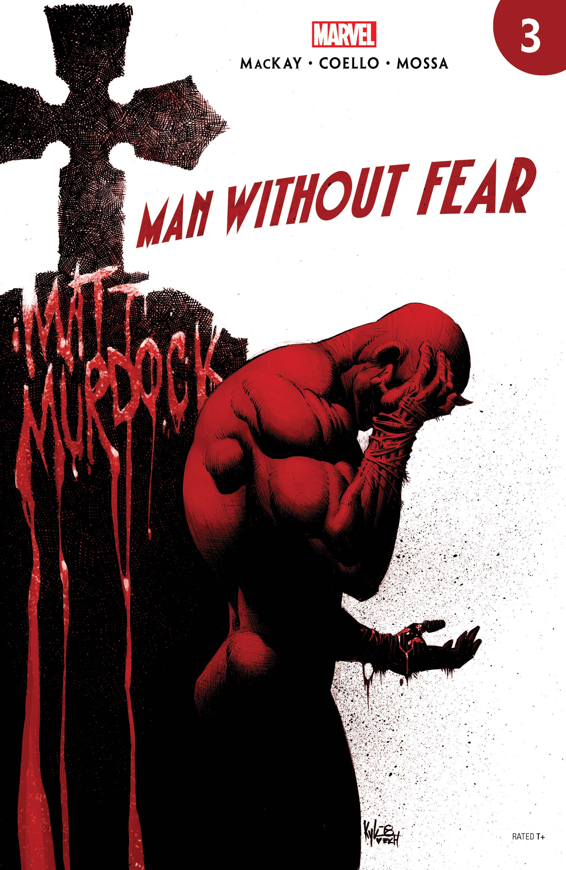 Man Without Fear 3